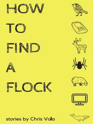 cover image of How to Find a Flock